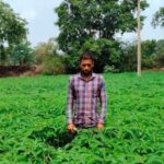 प्राकृतिक-खेती-को-बढ़ावा-देने-की-पहल-ला-रही-बदलाव,-हरी-खाद-अपनाकर-आत्मनिर्भर-खेती-की-राह-पर-बढ़-रहे-किसान