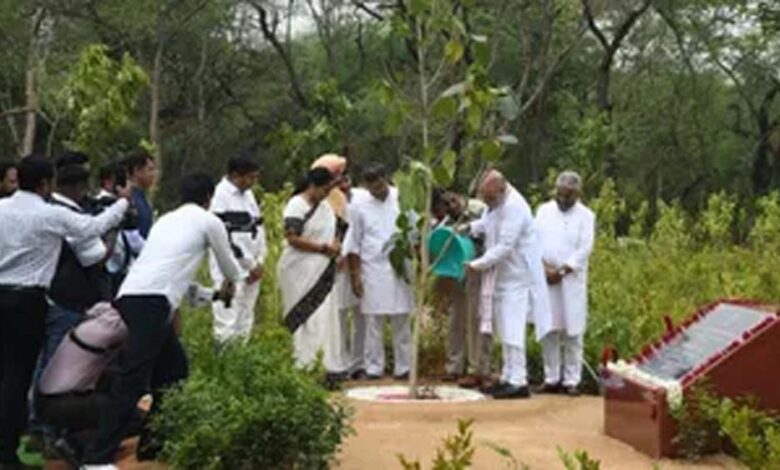 दिल्ली-के-रिज-क्षेत्र-की-बदलेगी-तस्वीर,-70-लाख-पौधों-से-बनेगा-राजधानी-का-हरित-फेफड़ा