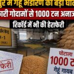 जबलपुर-में-गेहूं-भंडारण-का-बड़ा-घोटाला,-दो-सरकारी-गोदामों-से-1000-टन-अनाज-गायब