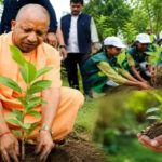 गोरखपुर-से-पौधरोपण-महायज्ञ-का-शुभारंभ-करेंगे-मुख्यमंत्री-योगी