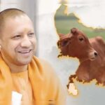 नंदिनी-योजना-से-यूपी-में-डेयरी-और-ग्रामीण-रोजगार-को-बढ़ावा